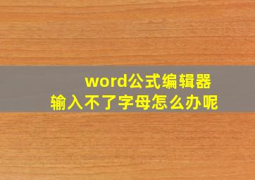 word公式编辑器输入不了字母怎么办呢