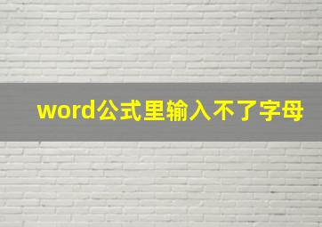 word公式里输入不了字母