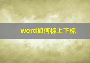 word如何标上下标