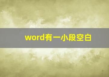 word有一小段空白