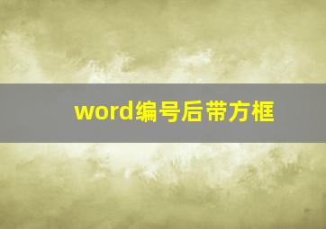 word编号后带方框