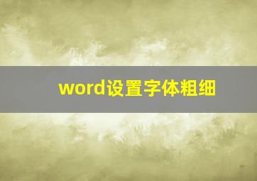 word设置字体粗细