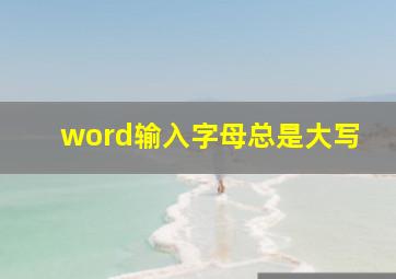 word输入字母总是大写