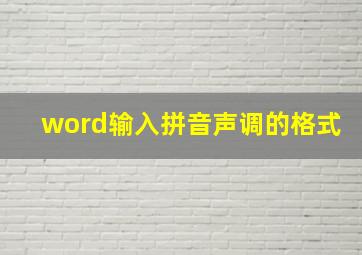 word输入拼音声调的格式