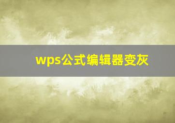 wps公式编辑器变灰