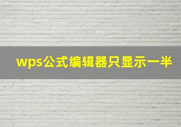 wps公式编辑器只显示一半