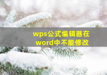 wps公式编辑器在word中不能修改