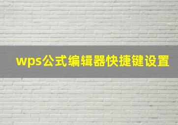 wps公式编辑器快捷键设置