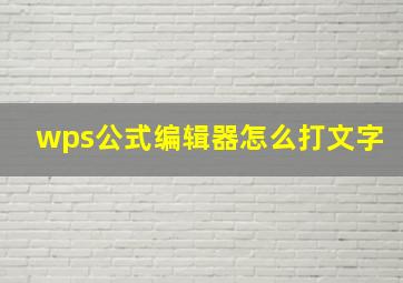 wps公式编辑器怎么打文字