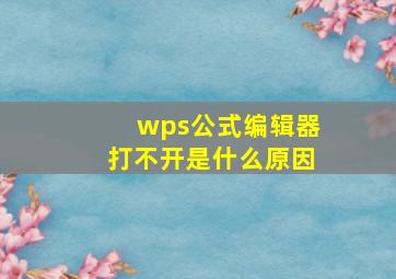 wps公式编辑器打不开是什么原因