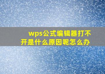 wps公式编辑器打不开是什么原因呢怎么办