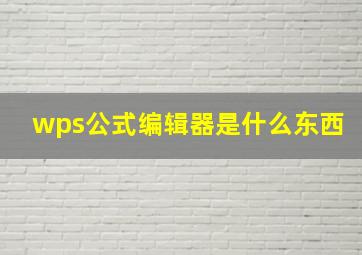 wps公式编辑器是什么东西