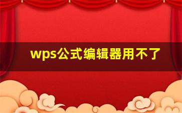 wps公式编辑器用不了