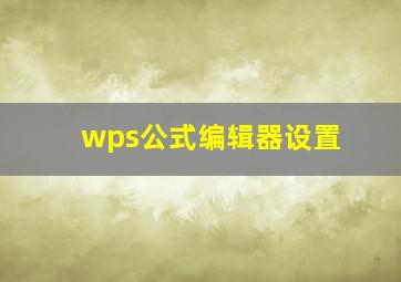 wps公式编辑器设置