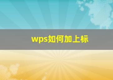 wps如何加上标