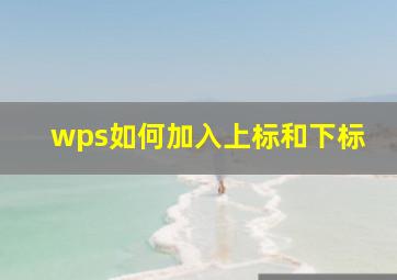 wps如何加入上标和下标