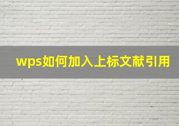 wps如何加入上标文献引用