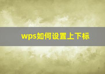 wps如何设置上下标