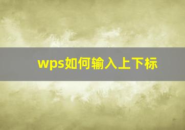 wps如何输入上下标