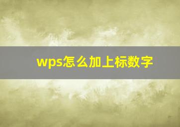 wps怎么加上标数字