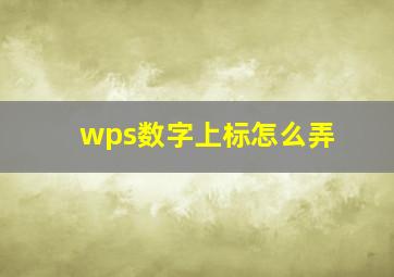 wps数字上标怎么弄