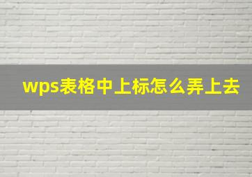 wps表格中上标怎么弄上去