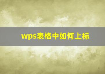 wps表格中如何上标