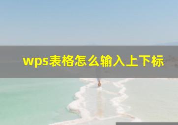 wps表格怎么输入上下标