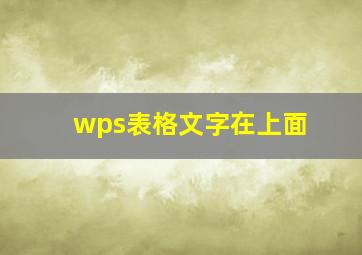 wps表格文字在上面