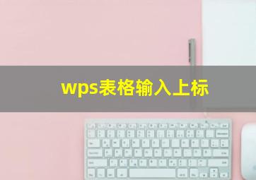 wps表格输入上标