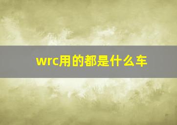 wrc用的都是什么车