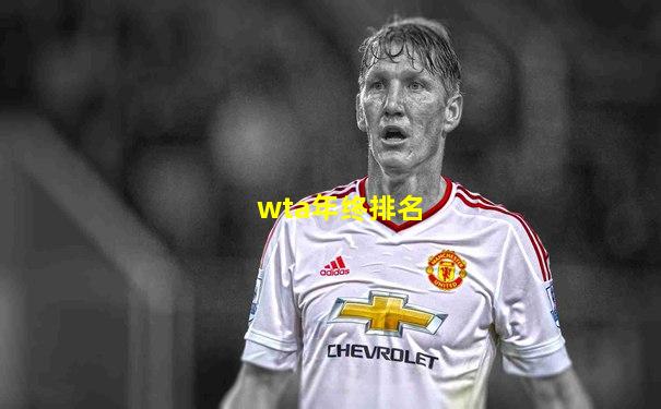 wta年终排名