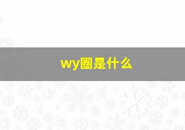 wy圈是什么