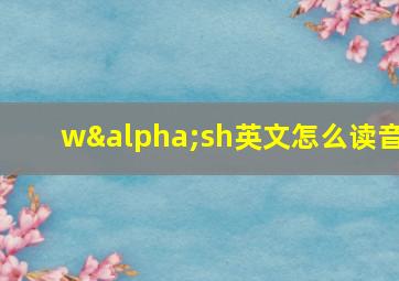 wαsh英文怎么读音