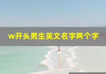 w开头男生英文名字两个字