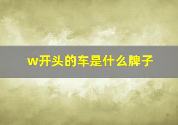 w开头的车是什么牌子