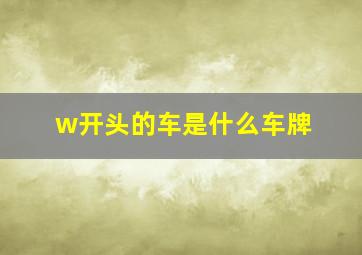 w开头的车是什么车牌