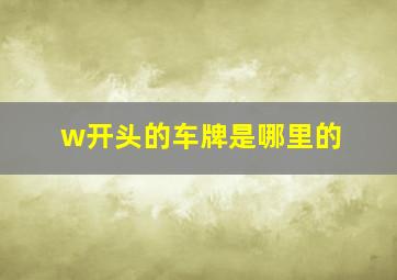 w开头的车牌是哪里的