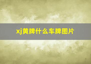 xj黄牌什么车牌图片