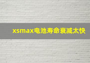 xsmax电池寿命衰减太快