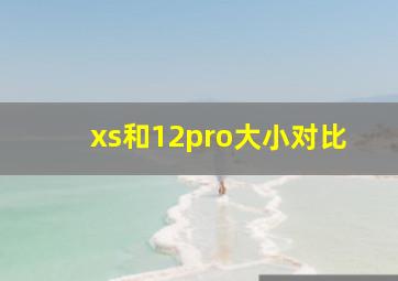 xs和12pro大小对比