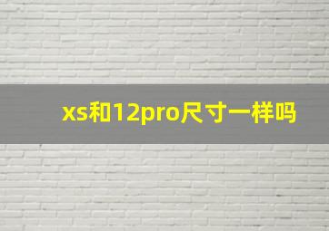 xs和12pro尺寸一样吗