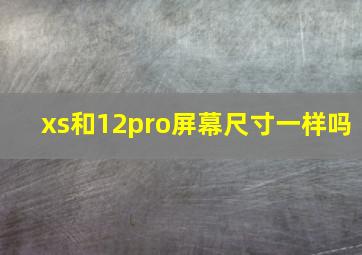 xs和12pro屏幕尺寸一样吗