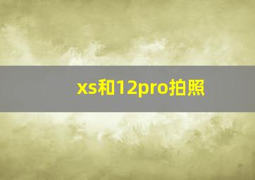 xs和12pro拍照