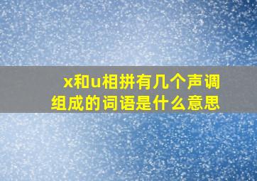 x和u相拼有几个声调组成的词语是什么意思