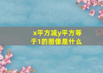 x平方减y平方等于1的图像是什么