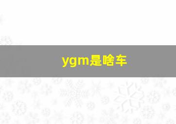 ygm是啥车