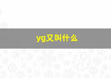 yg又叫什么