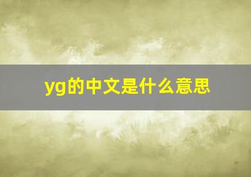 yg的中文是什么意思