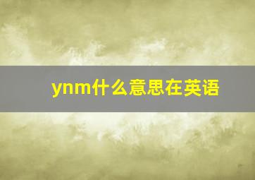 ynm什么意思在英语